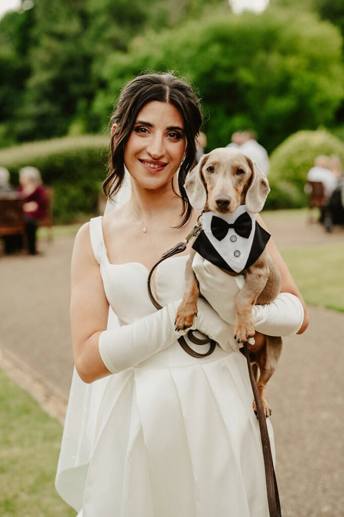 A bride in a white wedding dress and gloves holds a small dachshund wearing a tuxedo. They are outdoors in the garden of Broome Park, with blurred greenery and people in the background. The bride smiles at the camera, beautifully captured by a Canterbury wedding photographer. Image by Pearce Wedding Photography.