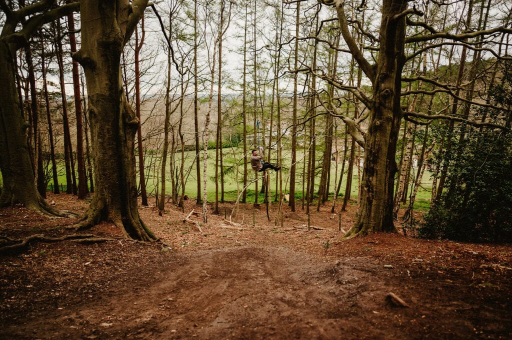 A person is sitting on a swing suspended between two tall trees in a forested area with a grassy field in the background. The ground is covered with fallen leaves and small branches.