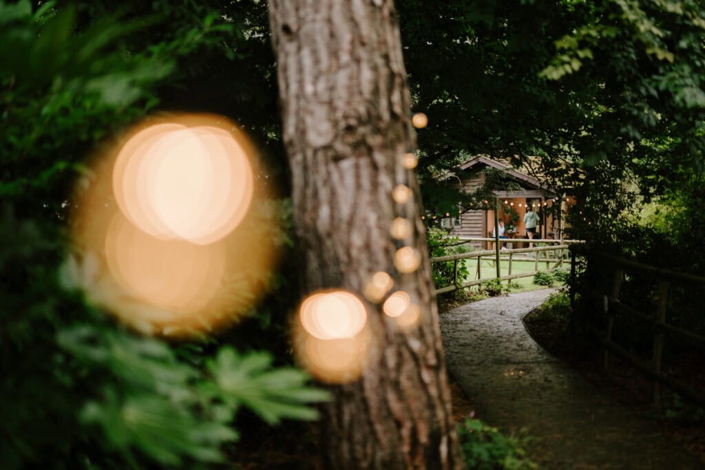 A softly lit pathway curves through a lush, green garden towards a rustic wooden cabin at Hayne House. Warm, blurry lights hang alongside a large tree in the foreground, creating an inviting atmosphere perfect for a wedding in the heart of Kent. Image by Pearce Wedding Photography.