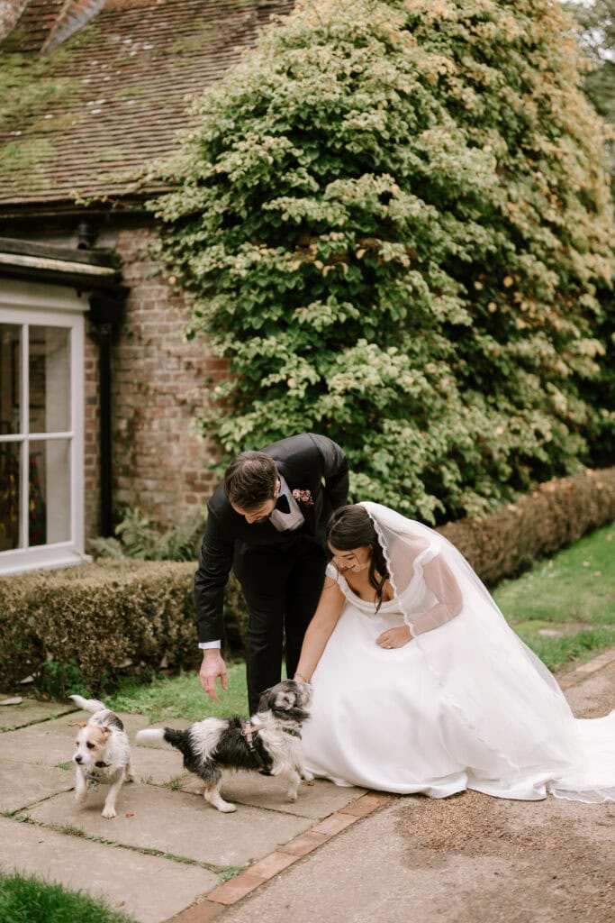 Bride and groom petting small dogs outside house.